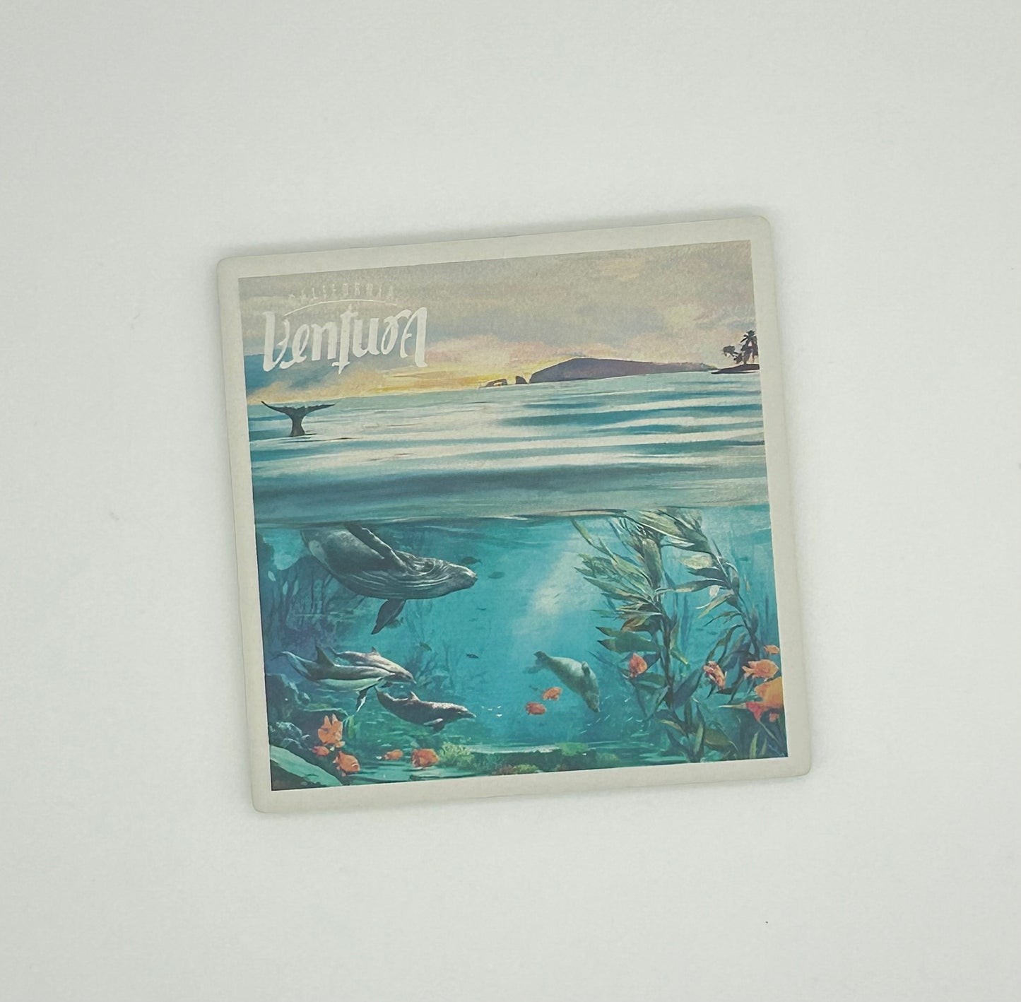 Guide Coaster