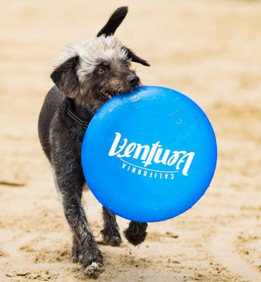 Frisbee, Blue
