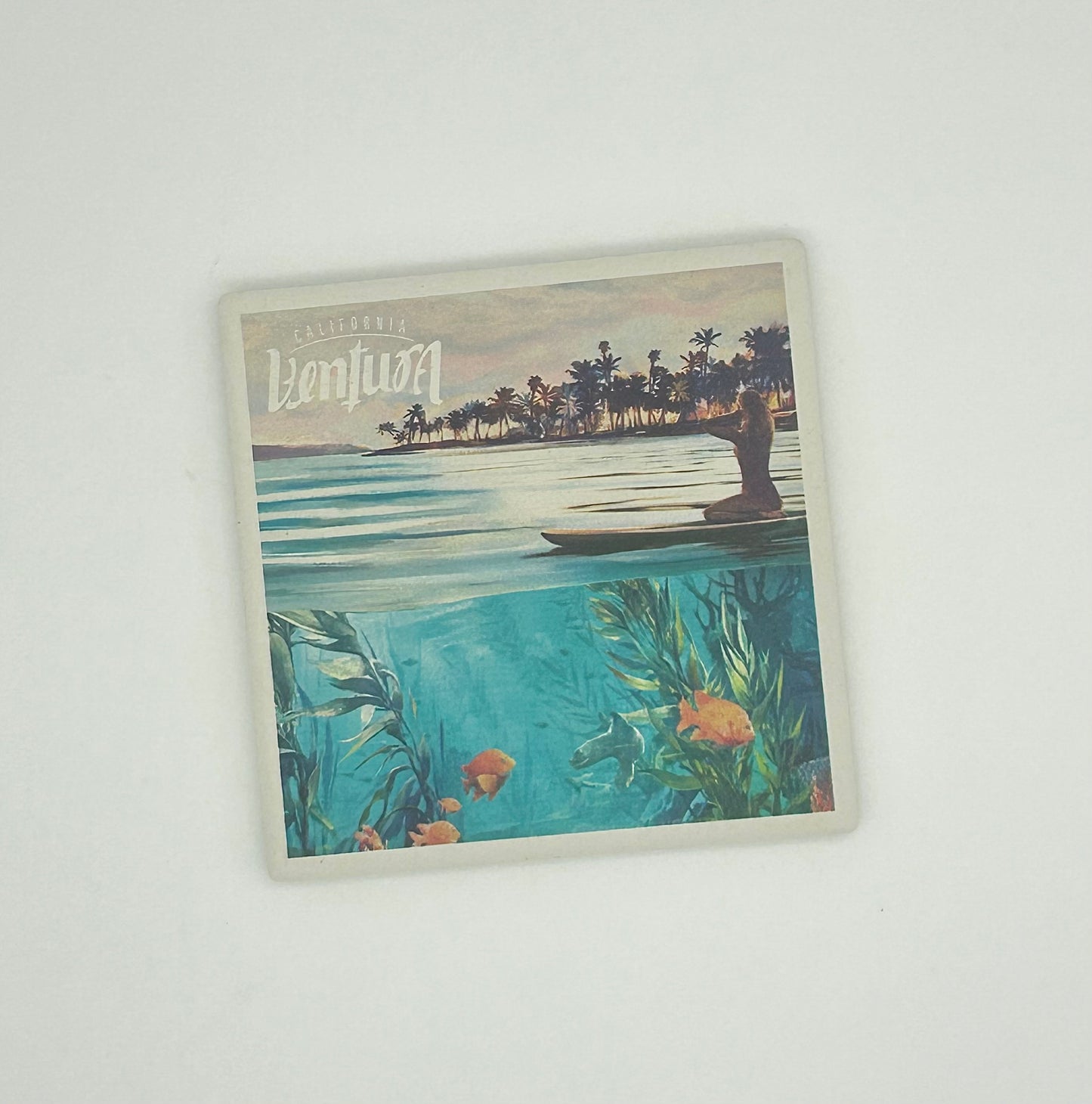 Guide Coaster